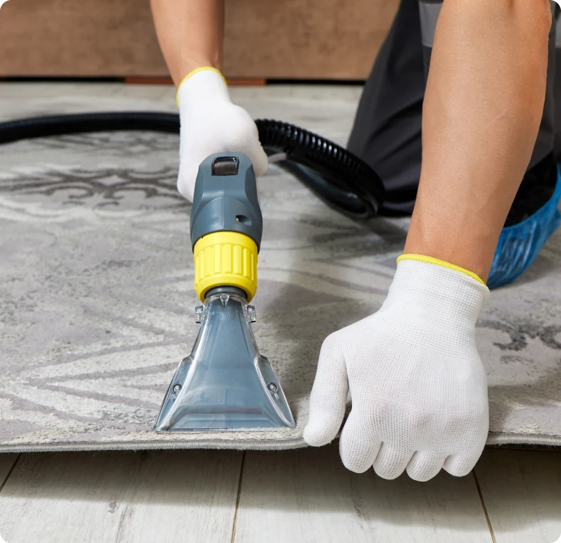 Hands cleaning rug with vacuum tool